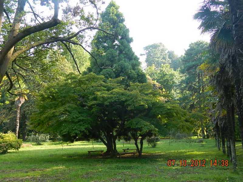 DSCN1712.JPG
