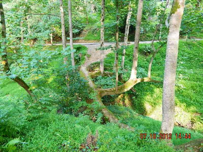 DSCN1720.JPG