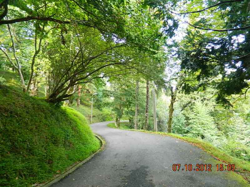 DSCN1730.JPG