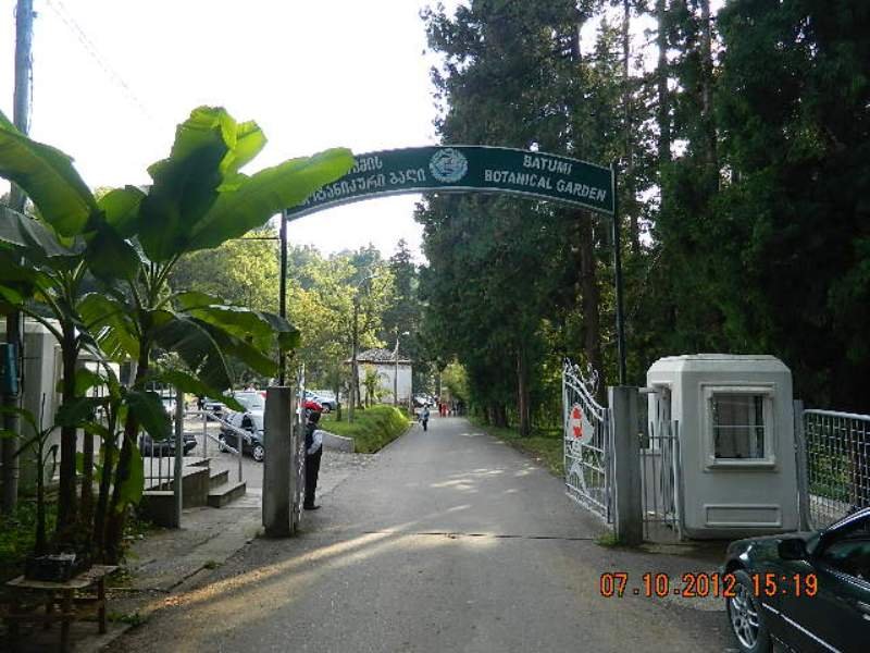 DSCN1731.JPG