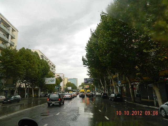 DSCN1917.JPG