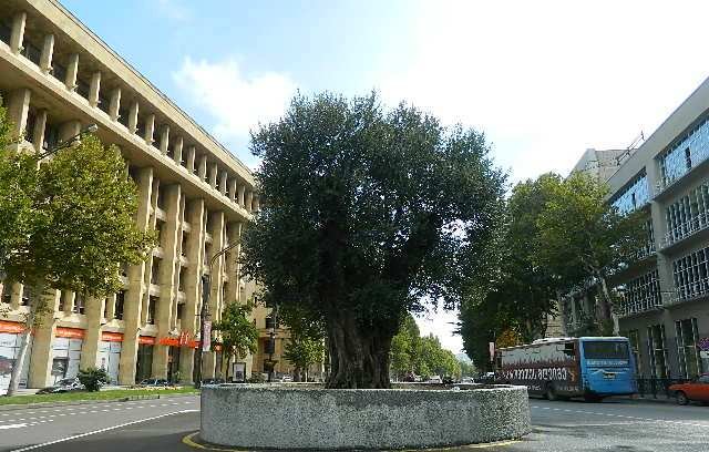 DSCN2011.JPG