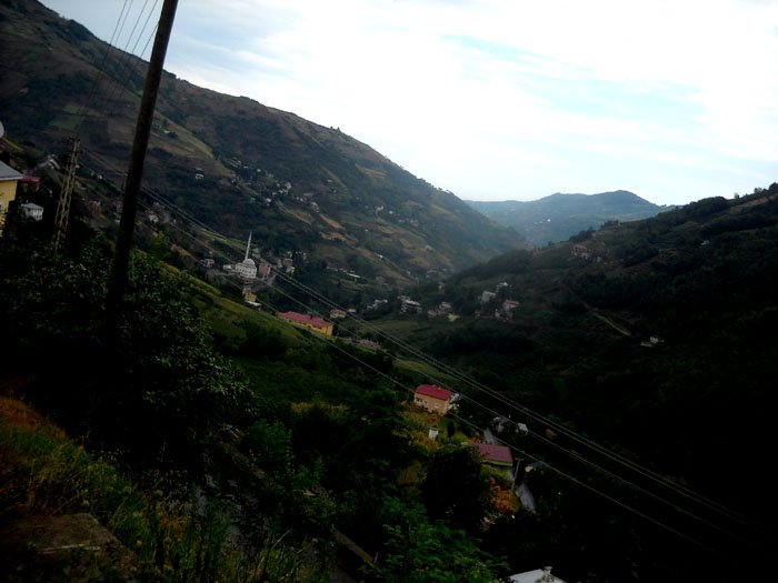 DSCN2095.JPG