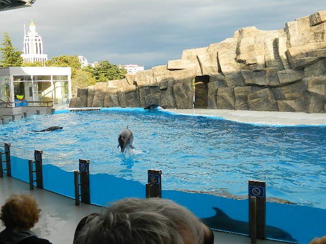 DSCN2215.JPG