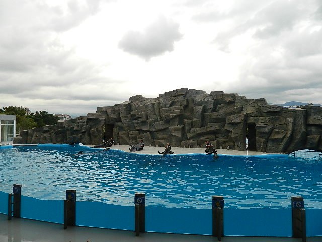 DSCN2221.JPG