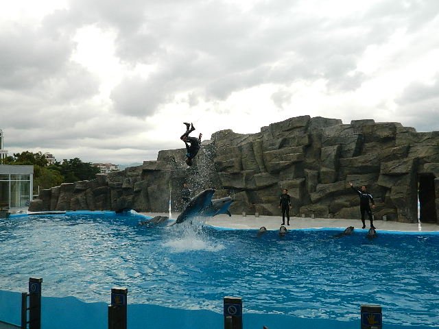DSCN2228.JPG