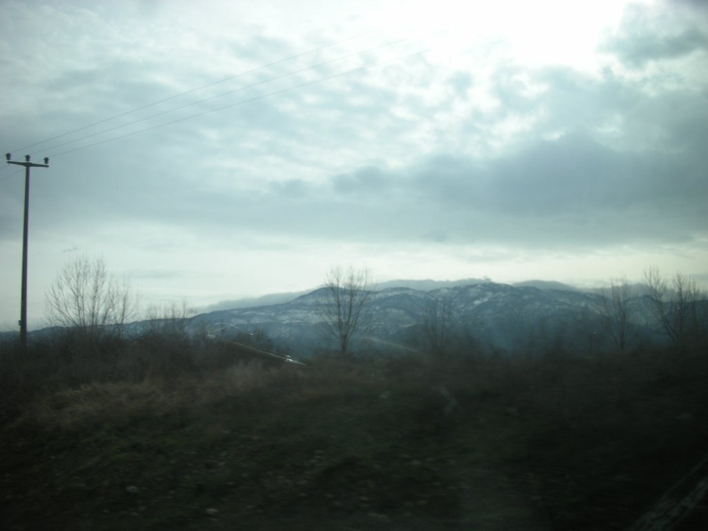 DSCN2296.JPG