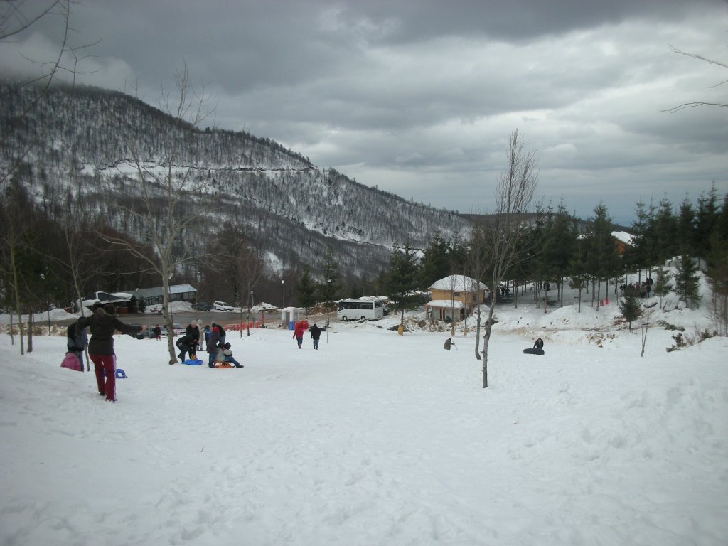 DSCN2306.JPG