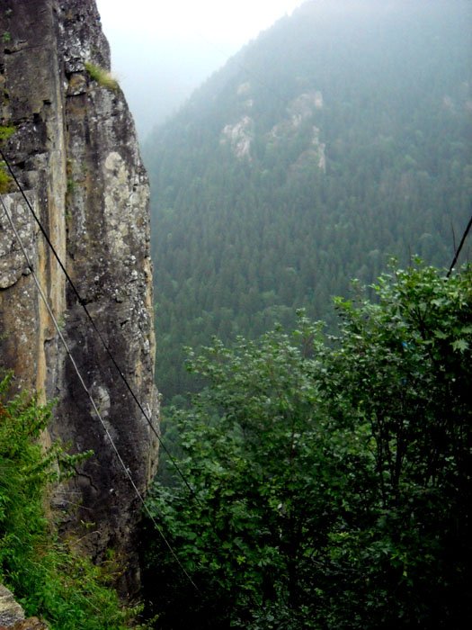 DSCN2329.JPG