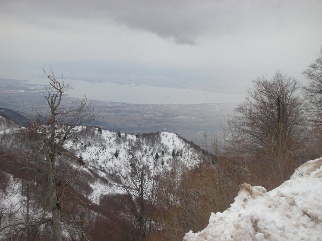 DSCN2332.JPG