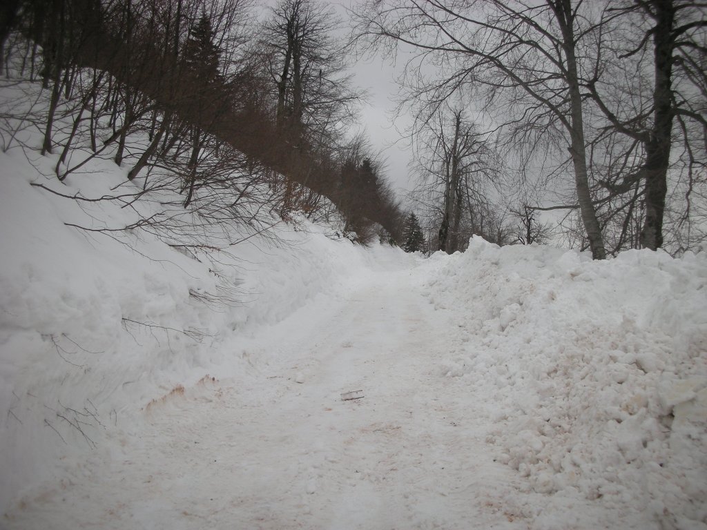 DSCN2336.JPG