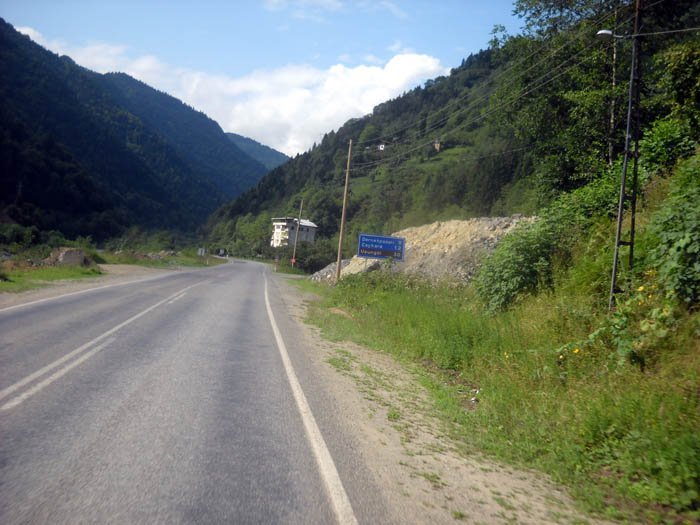 DSCN2347c.jpg