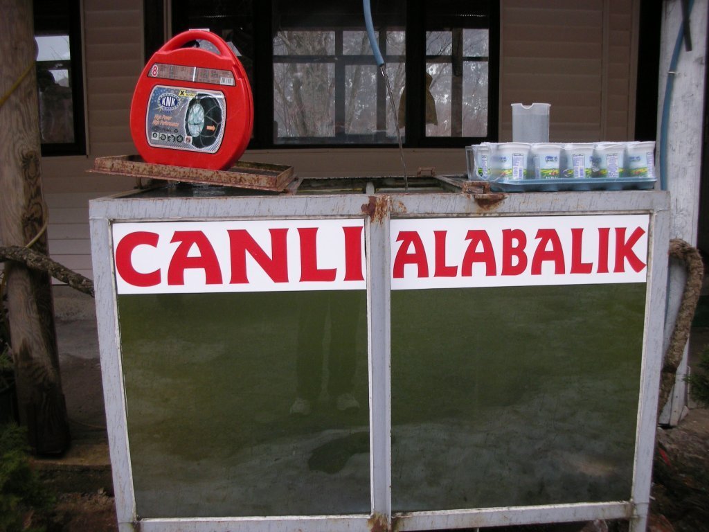 DSCN2379.JPG