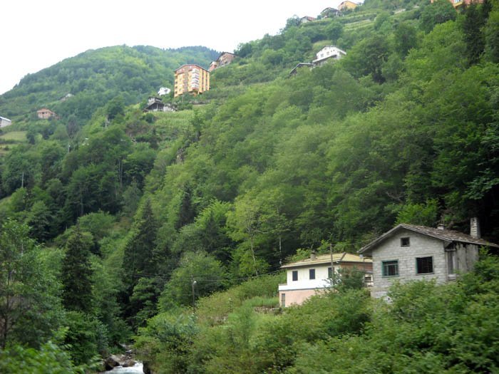 DSCN2387c.jpg