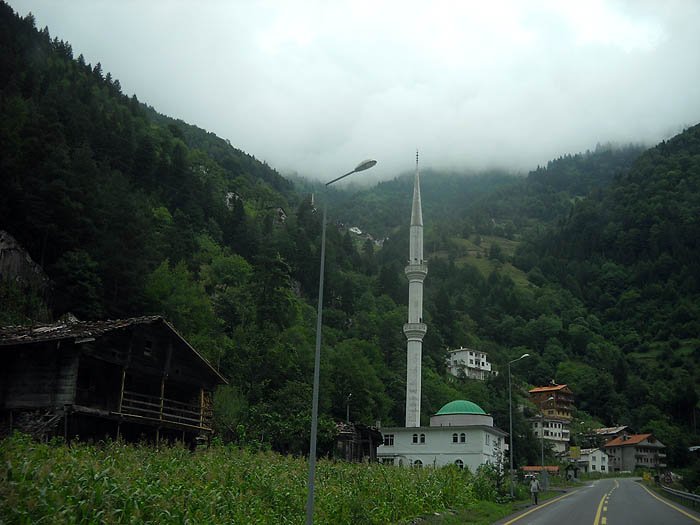 DSCN2410c.jpg