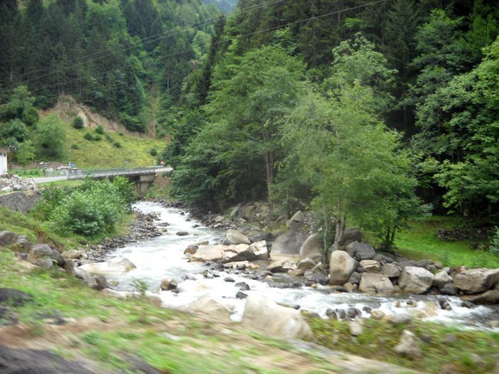 DSCN2411c.jpg