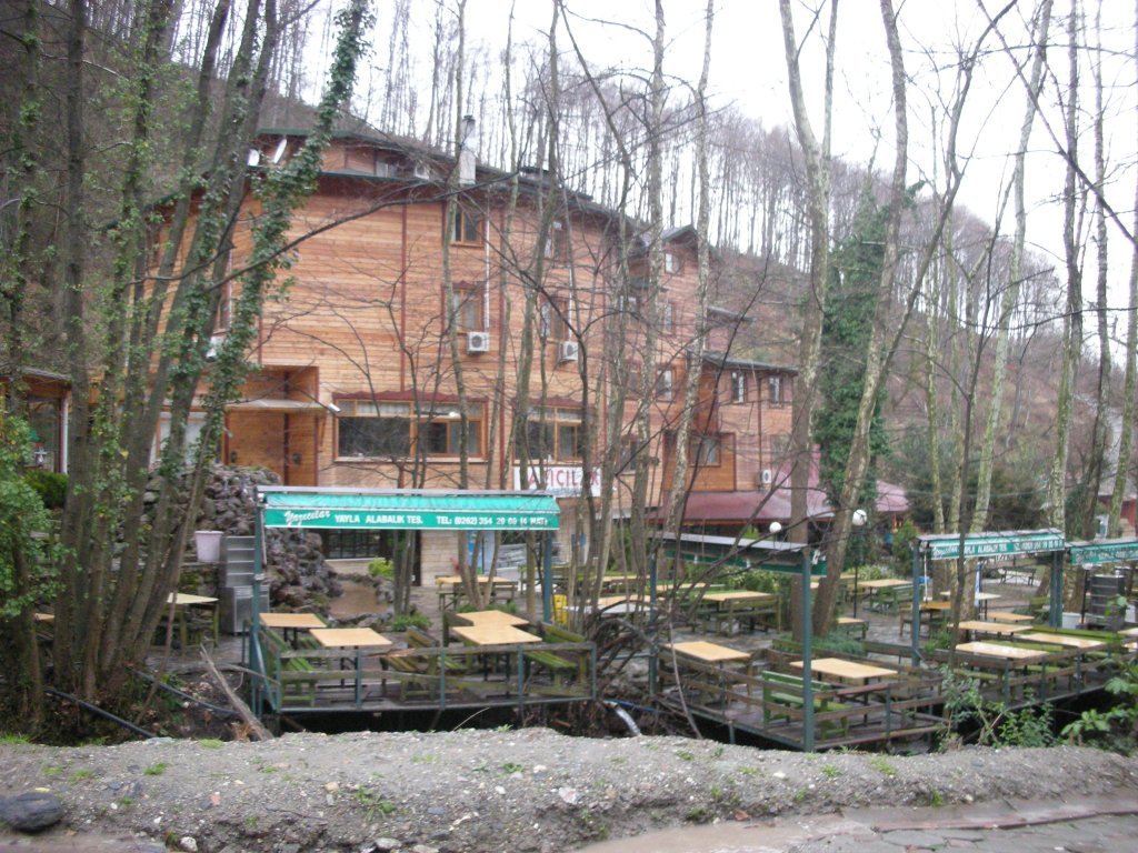 DSCN2445.JPG