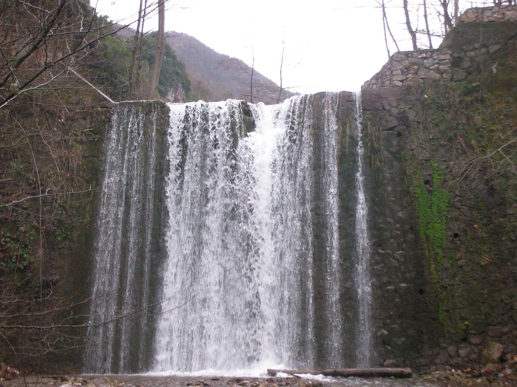 DSCN2450.JPG