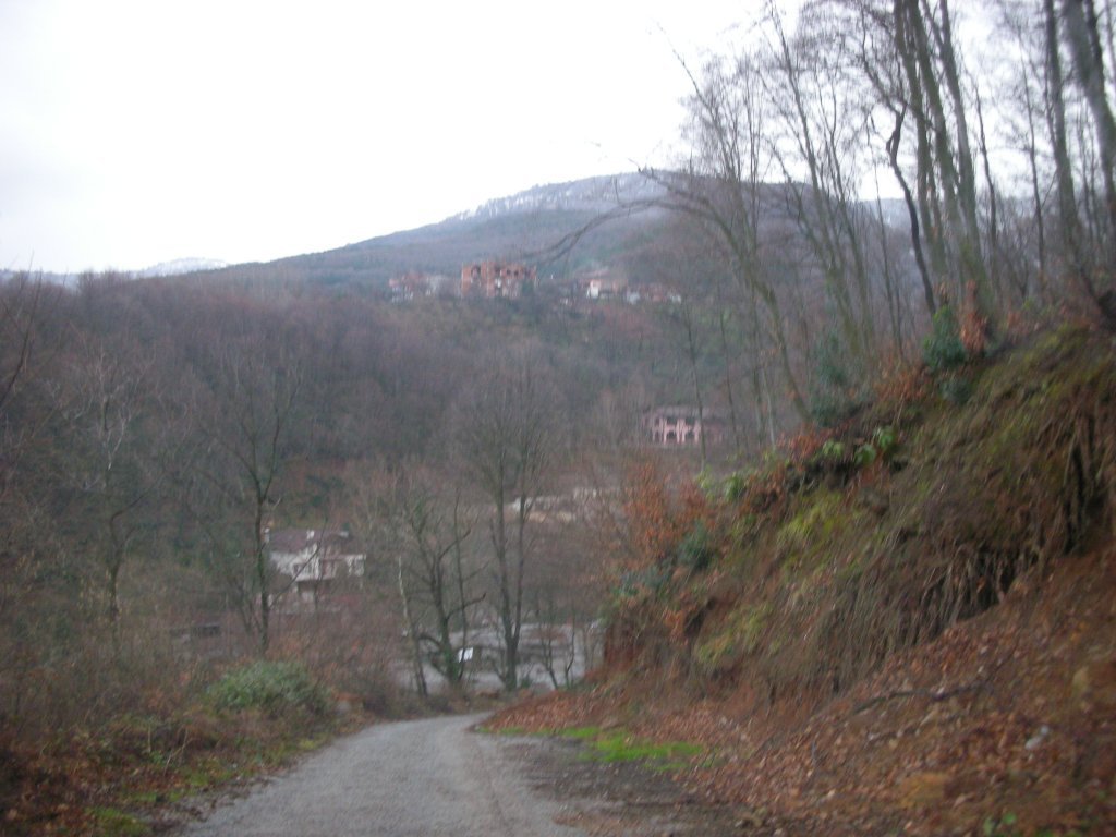 DSCN2459.JPG