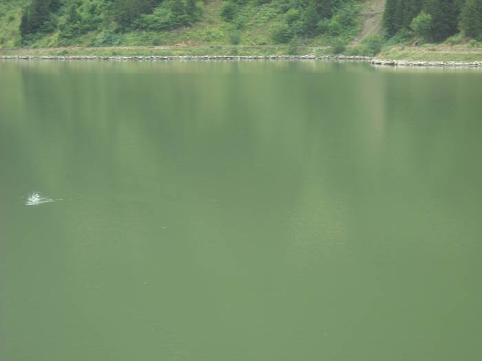 DSCN2469c.jpg