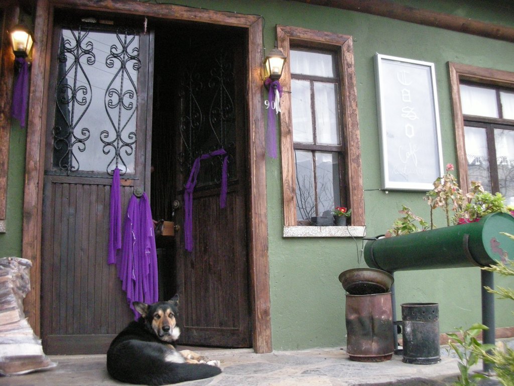 DSCN2485.JPG