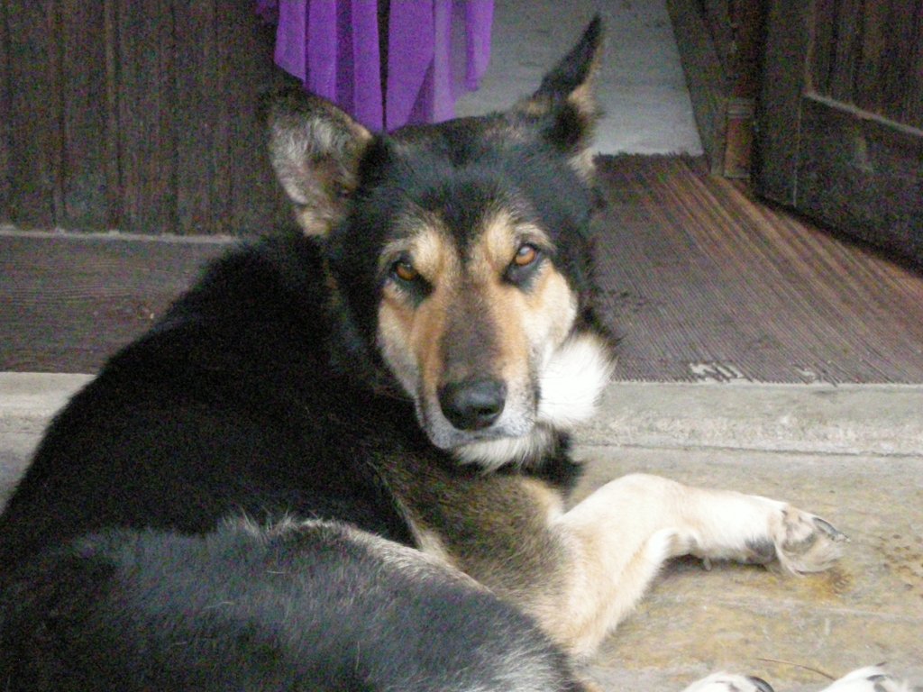 DSCN2492.JPG
