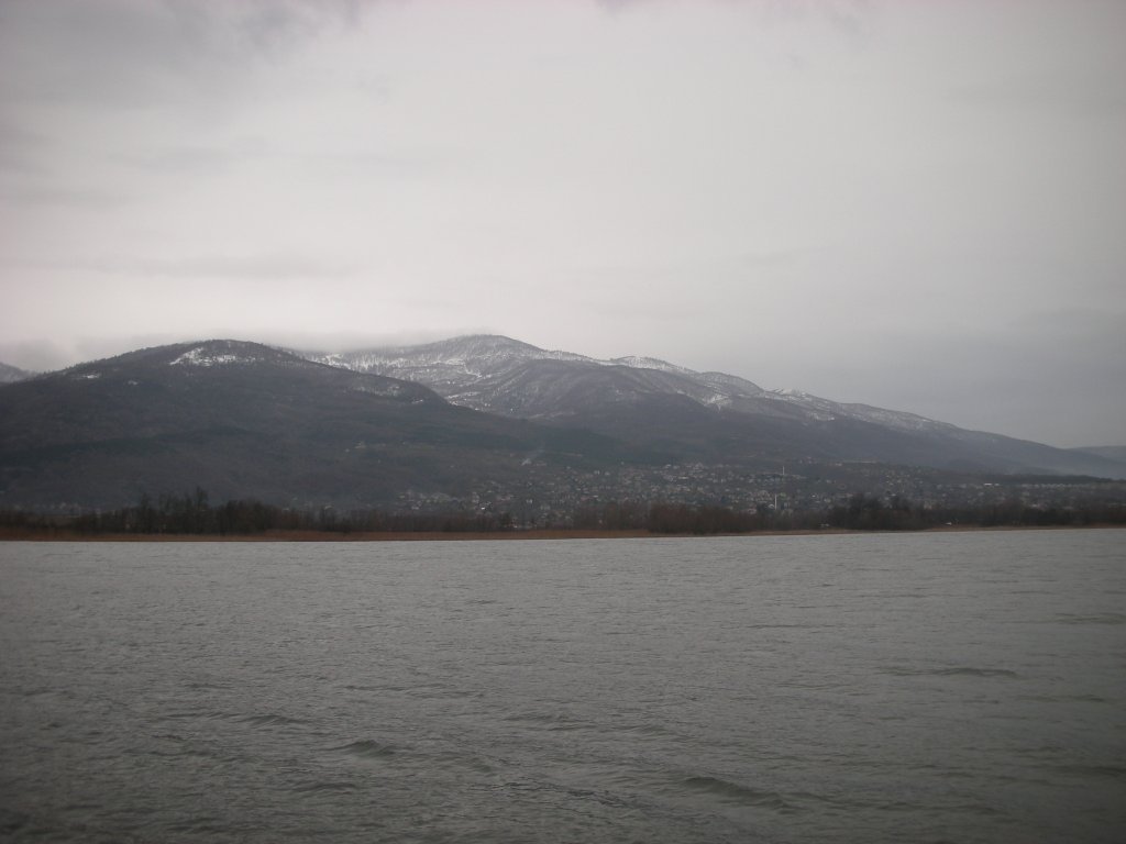 DSCN2494.jpg