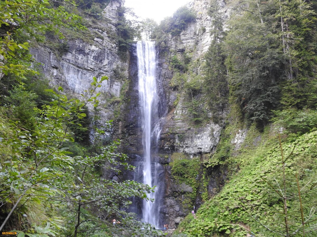 DSCN2512.JPG