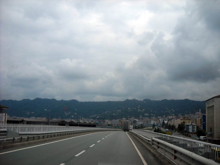 DSCN2589c.jpg