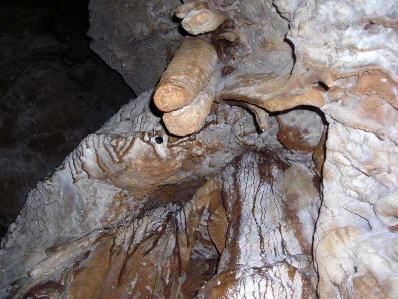 DSCN2626.jpg