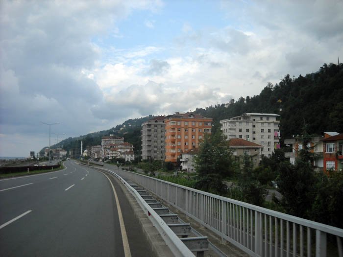 DSCN2629c.jpg