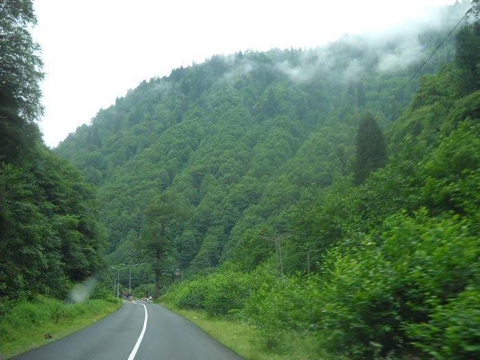 DSCN2725c.jpg