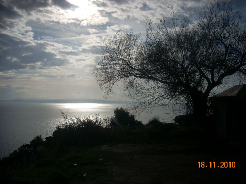 DSCN2731.jpg
