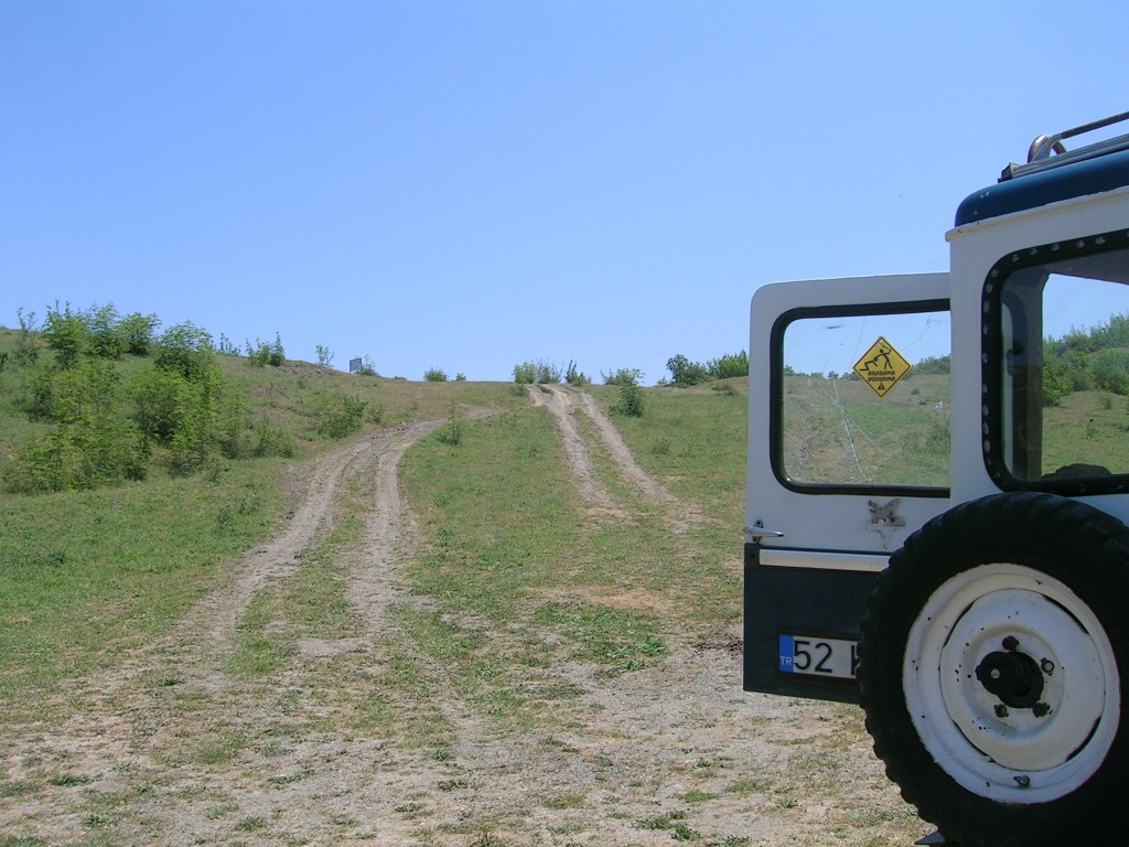 DSCN2773.JPG