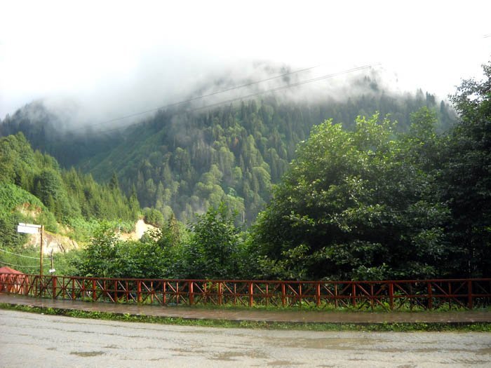 DSCN2790c.jpg