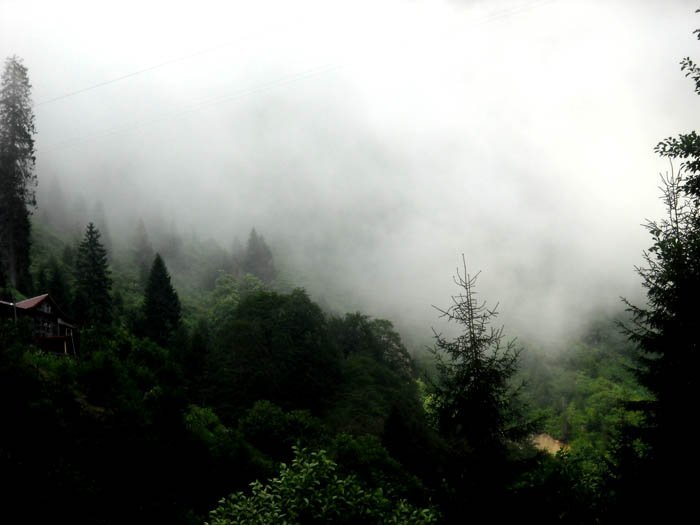 DSCN2811c.jpg