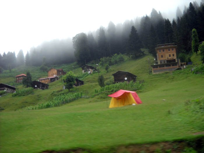 DSCN2886c.jpg