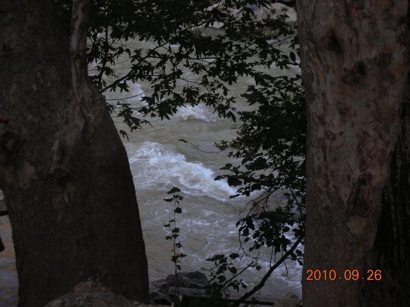 DSCN2919.jpg