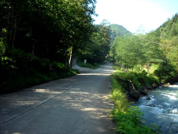 DSCN2935c.jpg