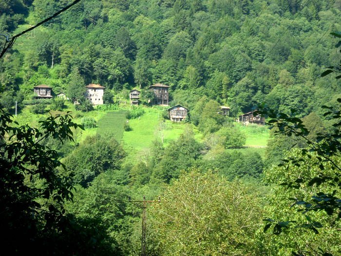 DSCN2945c.jpg