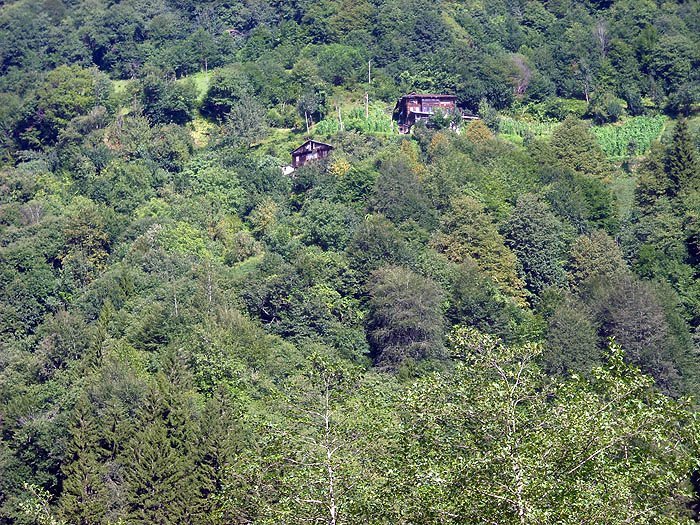 DSCN2947c.jpg