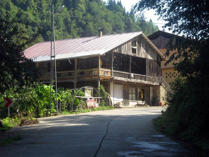 DSCN2950c.jpg