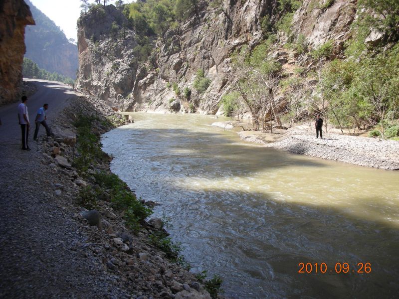 DSCN2958.jpg