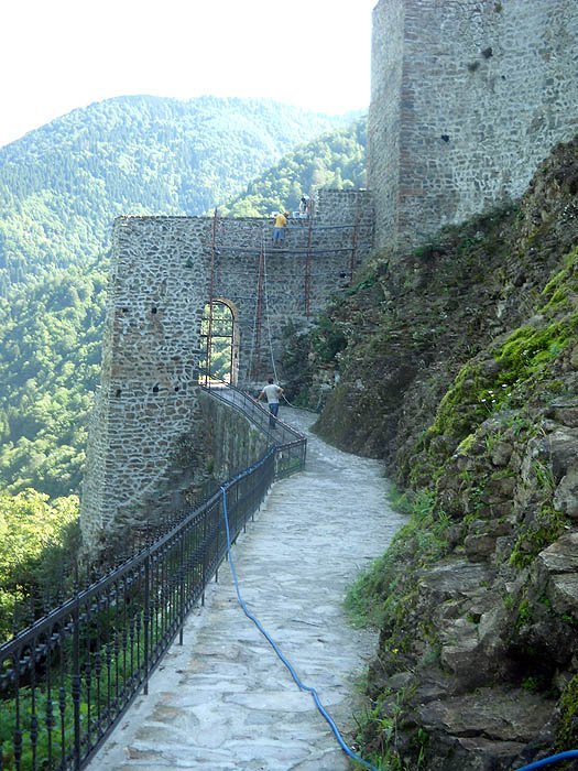 DSCN2982c.jpg