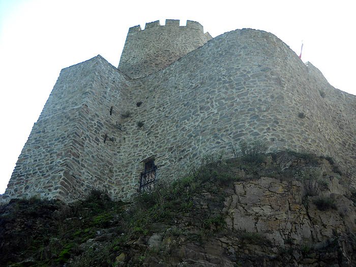 DSCN2983c.jpg
