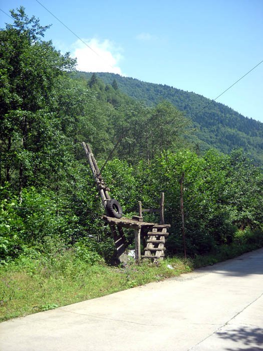 DSCN3061c.jpg