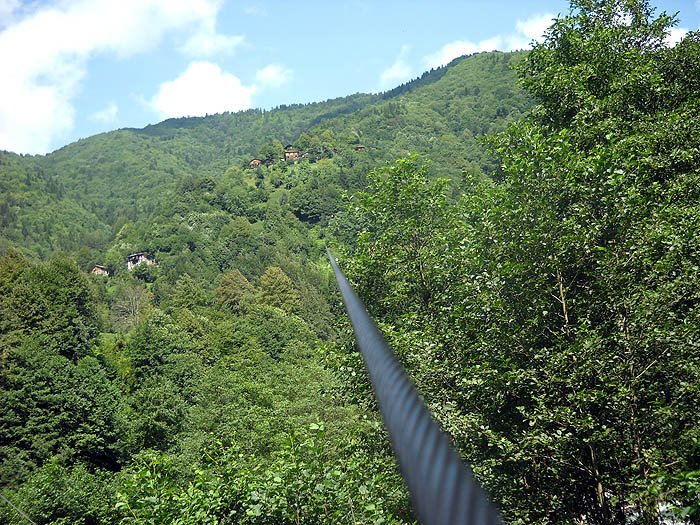 DSCN3083c.jpg