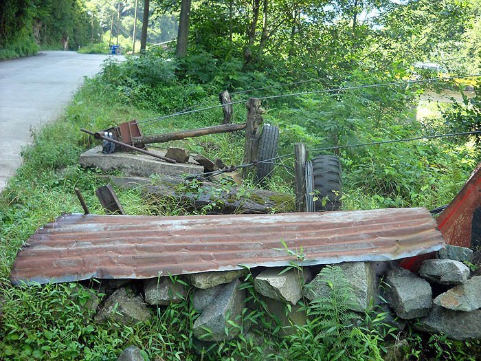 DSCN3086c.jpg
