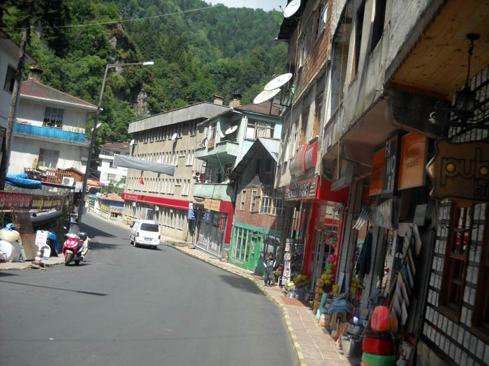 DSCN3120c.jpg