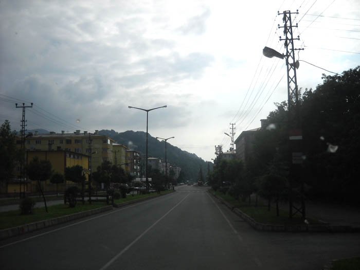 DSCN3204c.jpg